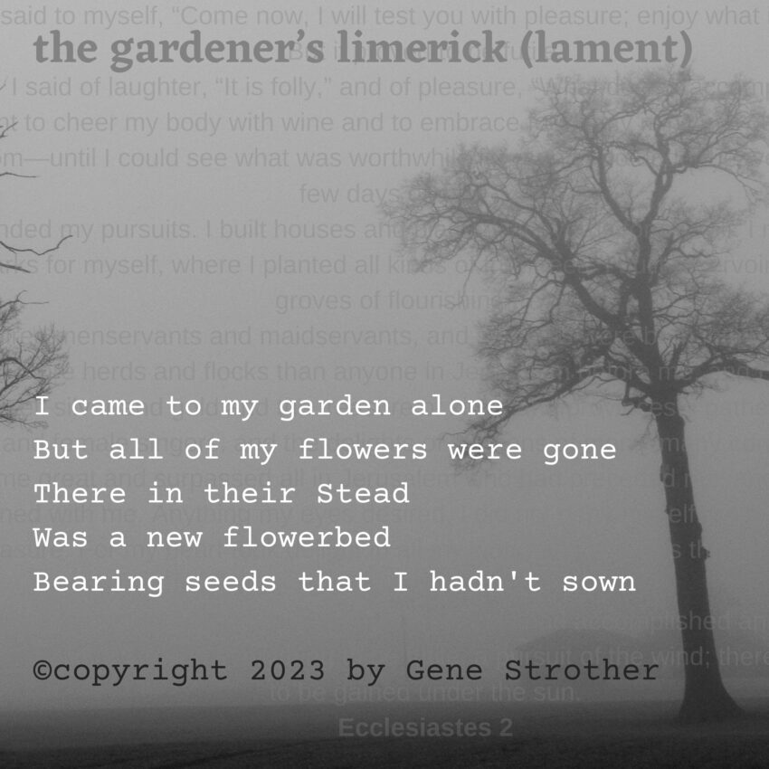 The Gardener Limerick - Ecclesiastes 2